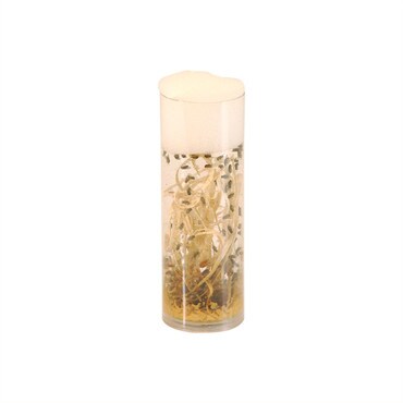 Large Fruit Flies in Tube